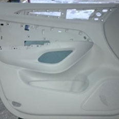 Automotive Injection Molding-Car Door